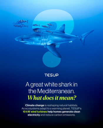 Rare Great White Shark Spotted in Mediterranean as Climate Change Shifts Habitats