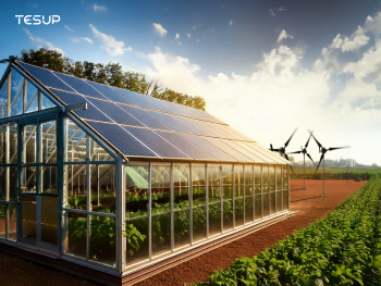 Plant Power Day: Daha Yeşil Bir Geleceği Kucaklamak