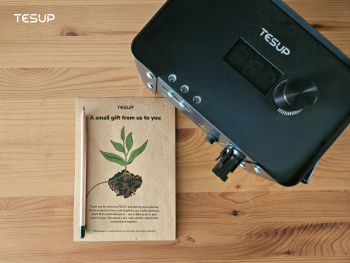 From Seeds to Solutions: Celebrating Trees with TESUP, One Pencil at a Time