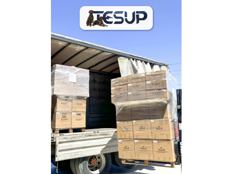TESUP pallets being loaded for the Netherlands — photographed today