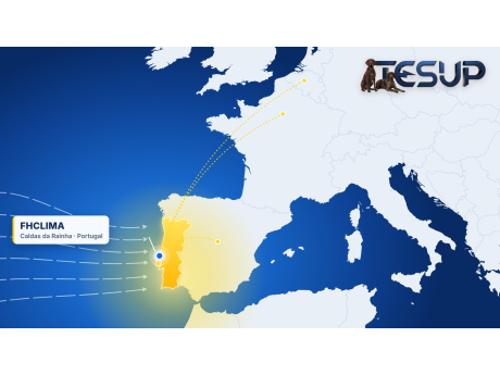 Map of Europe with Portugal highlighted in gold, Atlantic wind arrows and a pin at Caldas da Rainha