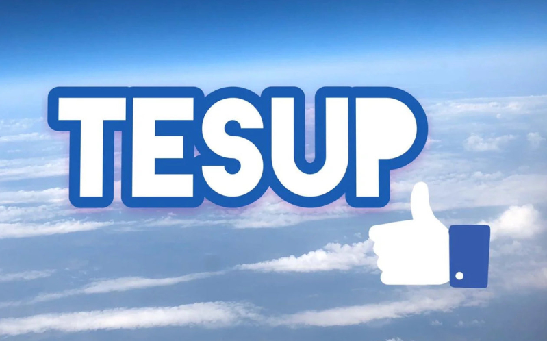 TESUP - team of the future !