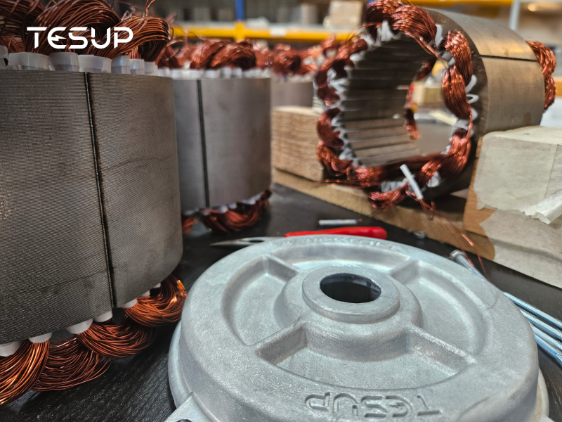 TESUP Motor AS: Leading the Future with Strong Permanent Magnet Electric Motors