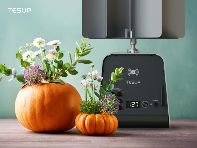 Spooky and Spectacular: TESUP’s Halloween Celebration 2024!