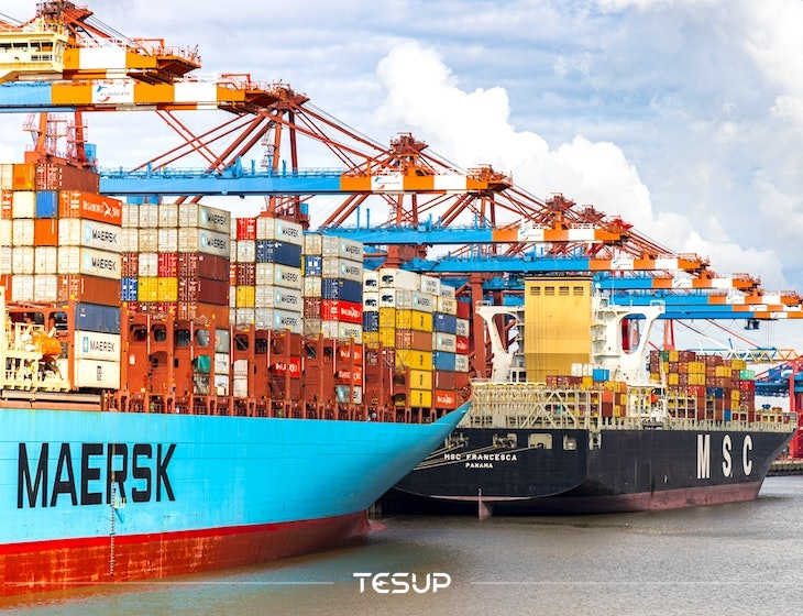 Por qué MAERSK y MSC prefieren las turbinas eólicas y paneles solares flexibles de TESUP
