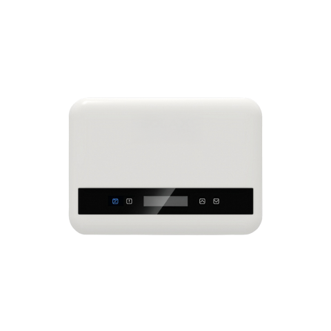 Home Inverter