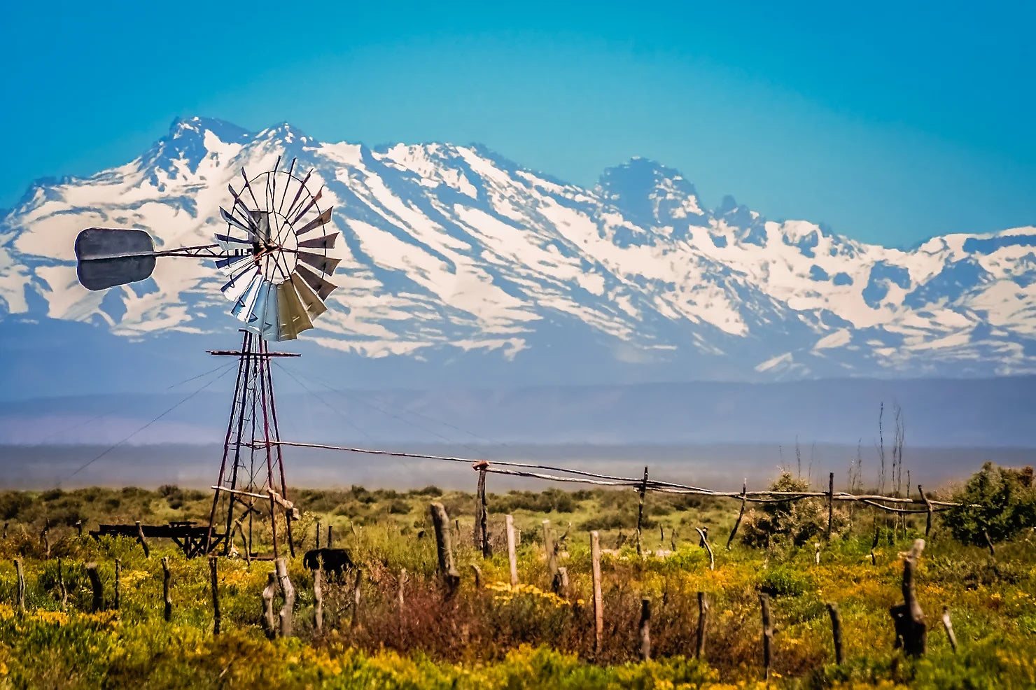 Access to Electricity and Renewable Energy