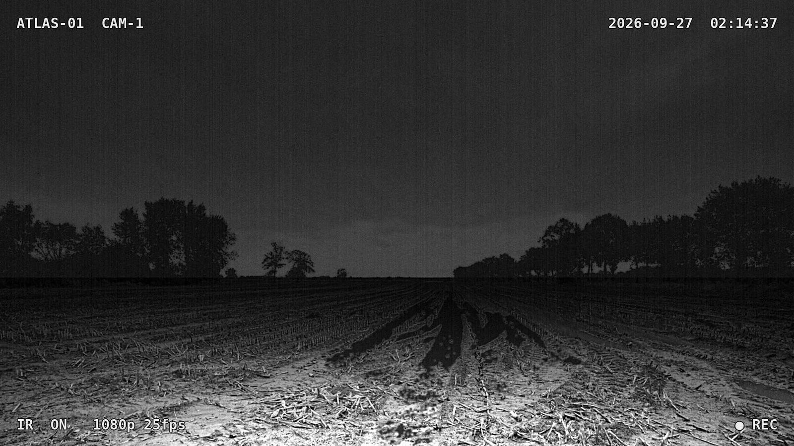 Imagen de cámara infrarroja en blanco y negro de un campo arado de noche, iluminado por la propia luz IR de la cámara