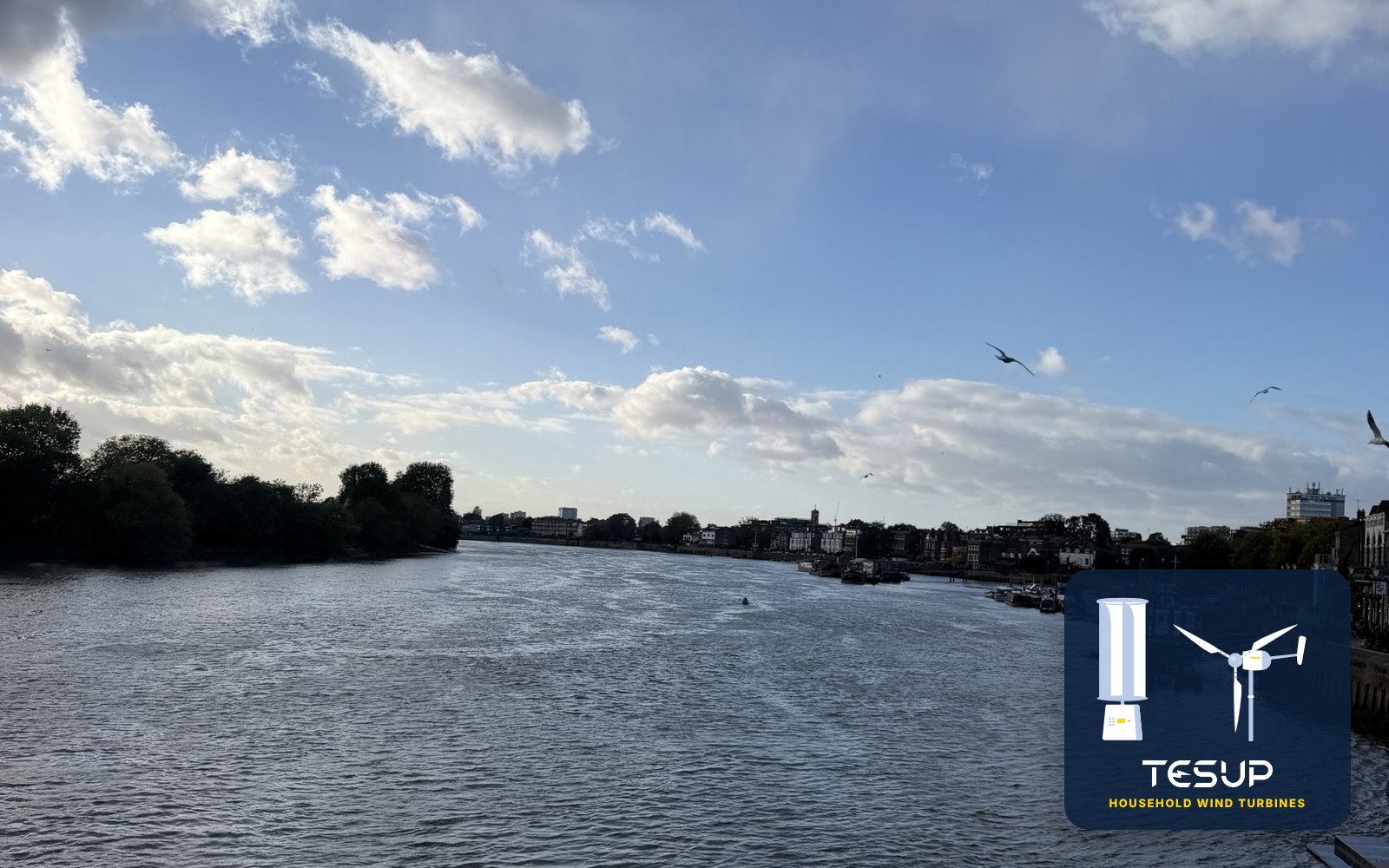 The Thames at Hammersmith under a blue sky with fast-moving clouds, with a TESUP badge showing the Atlas and Magnum symbols
