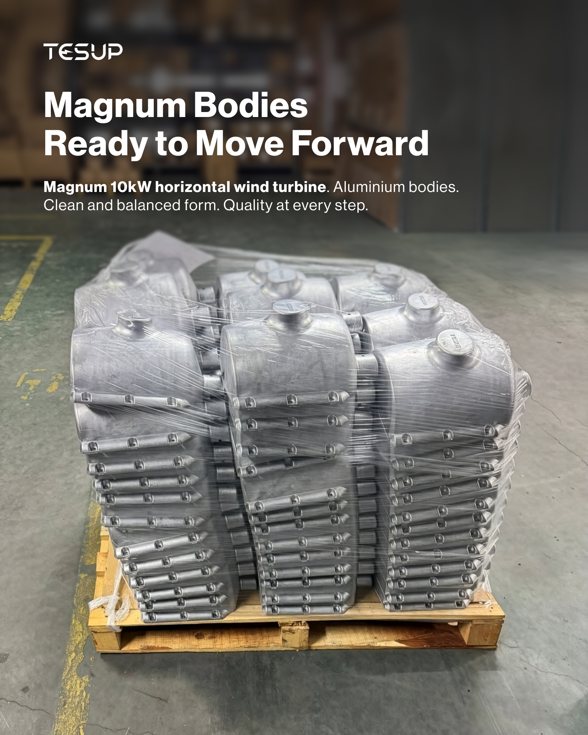 Cuerpos Magnum Listos para Avanzar