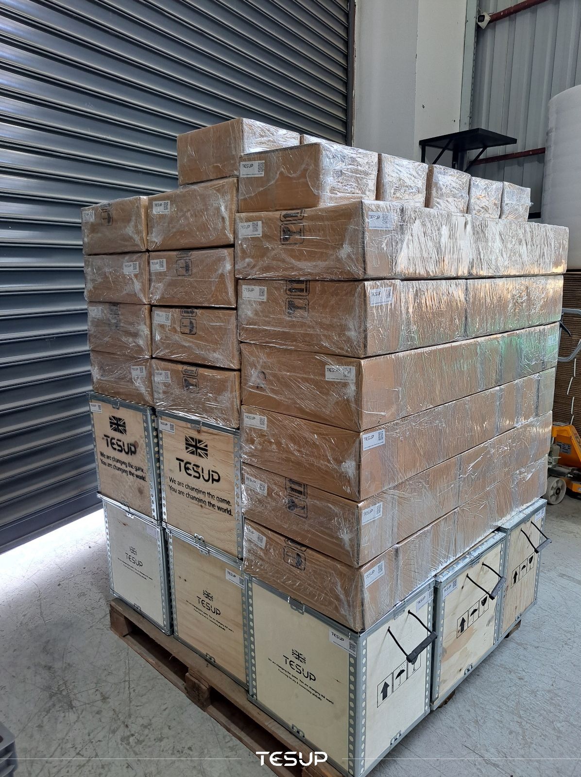 TESUP Magnum Pallet 2