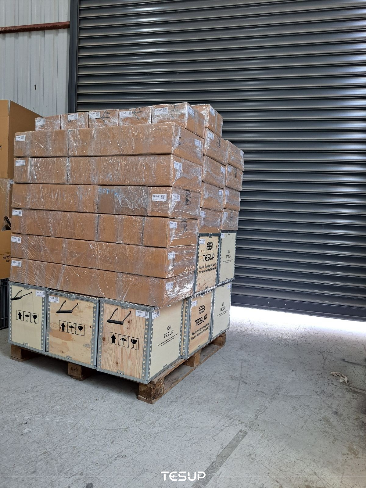 TESUP Magnum Pallet 4