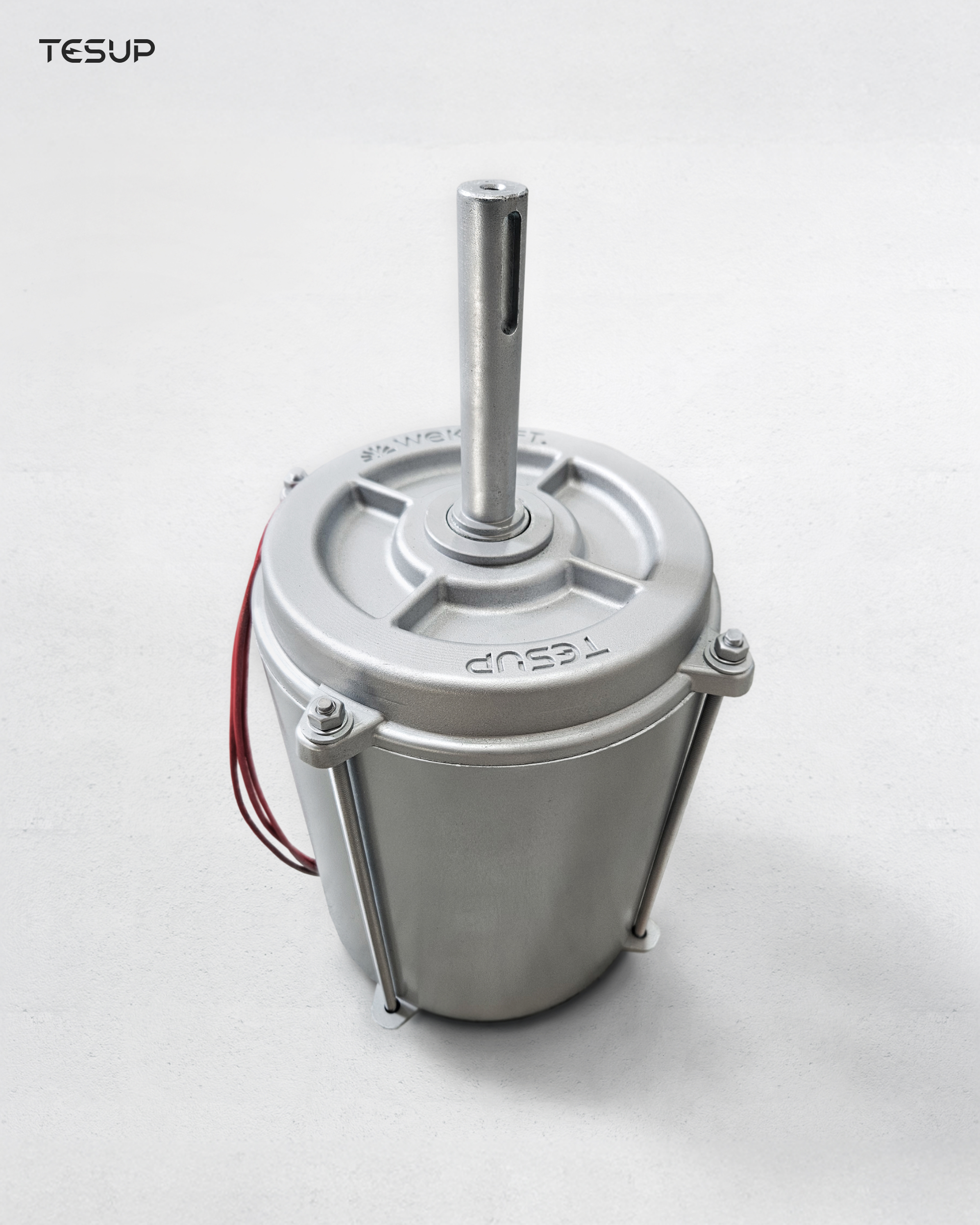 TESUP motor manufacturing 02