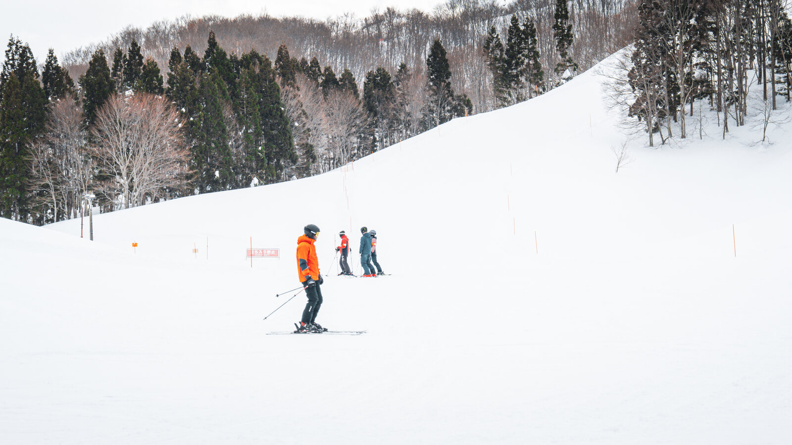 新潟県湯沢の雪に覆われたスキー場。ゴンドラの索道が木立の奥へと消えていく
