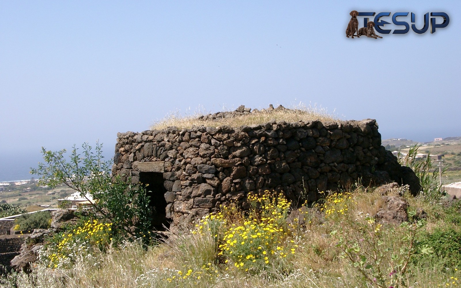 Pantelleria'da siyah lav taşından yapılmış geleneksel bir dammuso evi