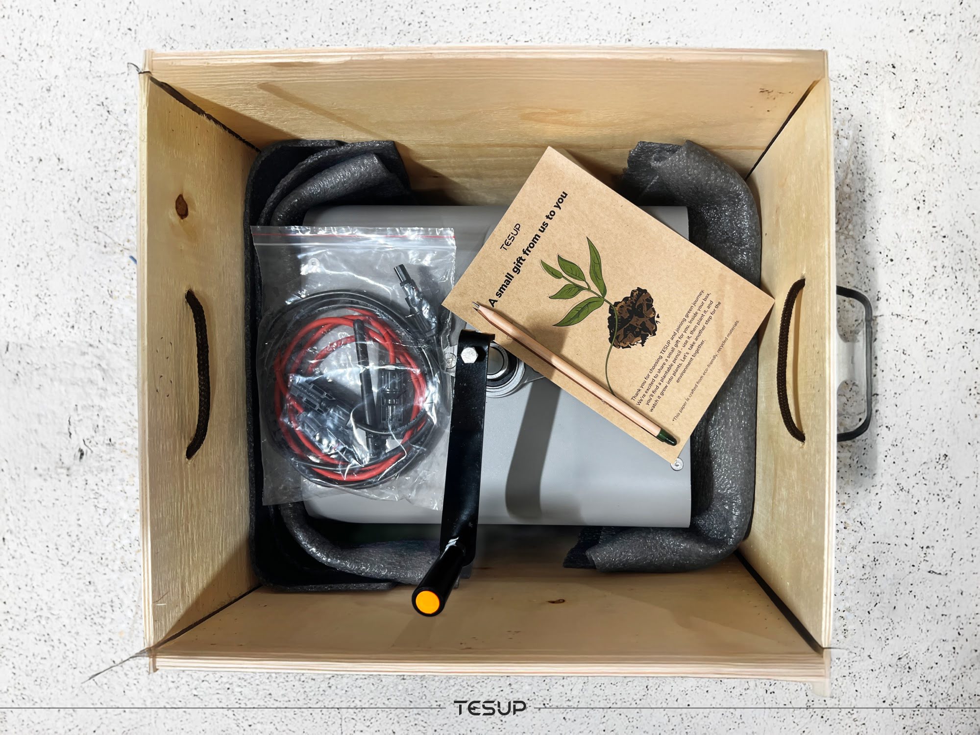 Der Pflanzbare Bleistift in Jeder TESUP-Box: Ein Kleines Geschenk mit Großer Botschaft