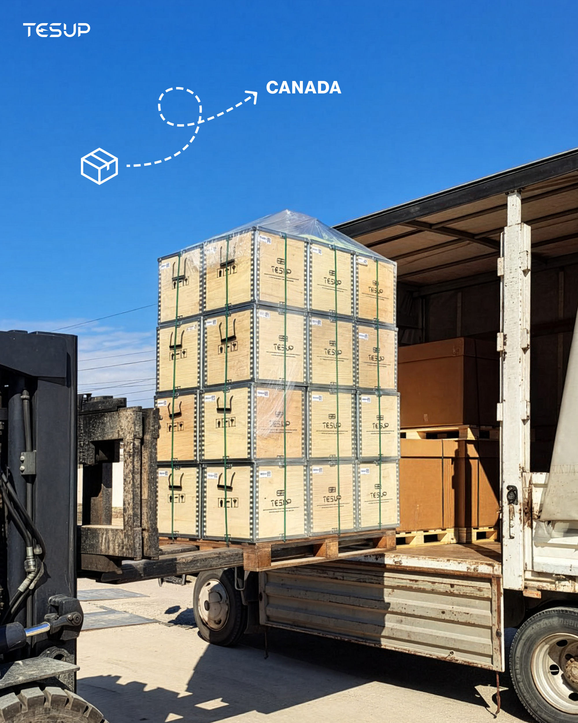 Trabajando como una abeja — TESUP impulsa a Canadá con energía limpia