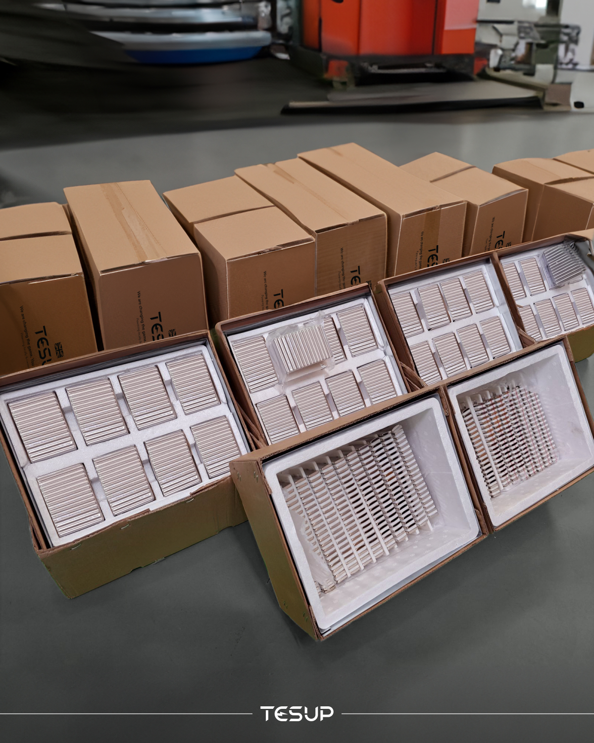 Magnetos TESUP N42