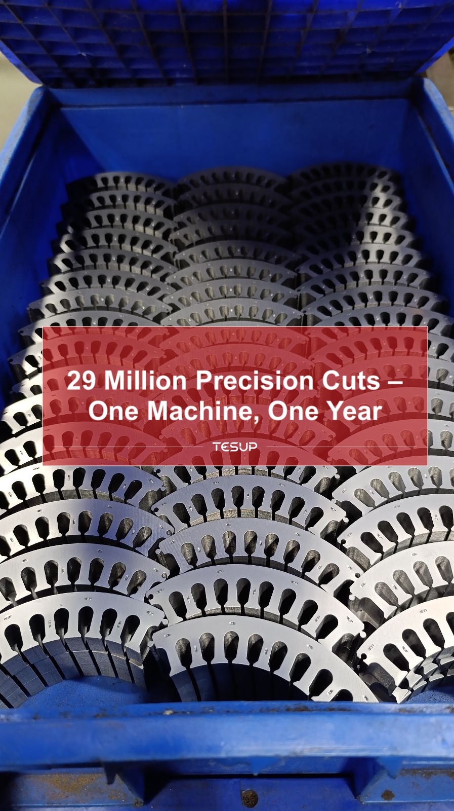 29 Millions de Découpes de Précision — Une Machine, Une Année