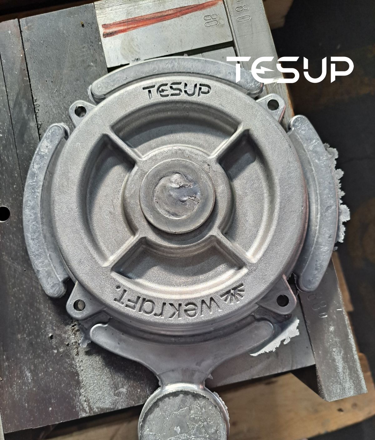 Proceso de Moldeo TESUP