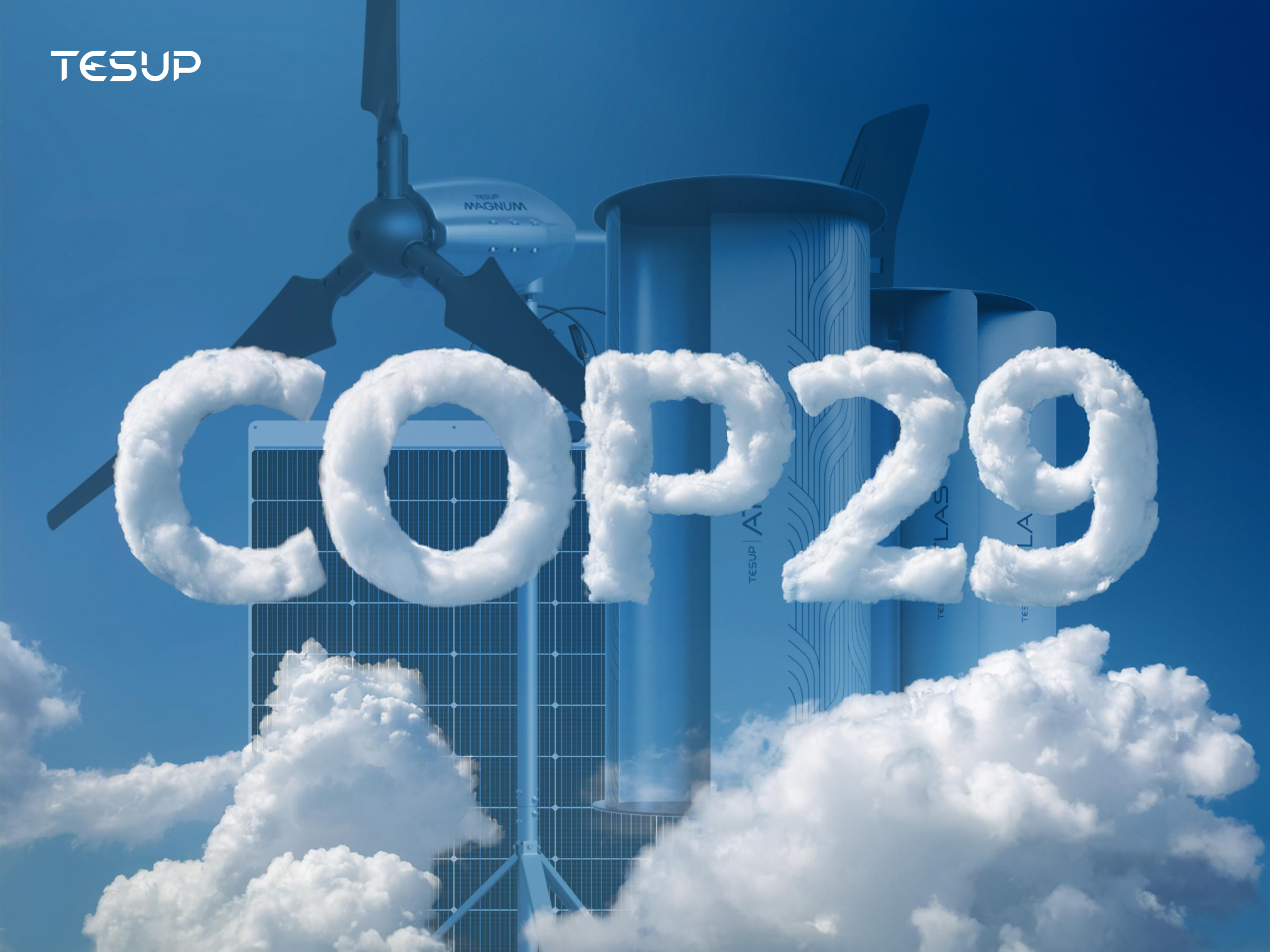 COP29 Results Summary