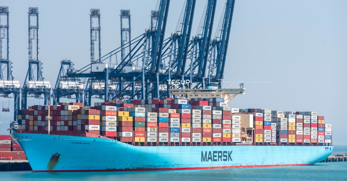 Why MAERSK and MSC Prefer TESUP Wind Turbines and Flexible Solar Panels ...